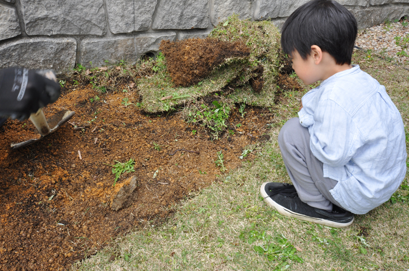 ミミズを見つけた子供